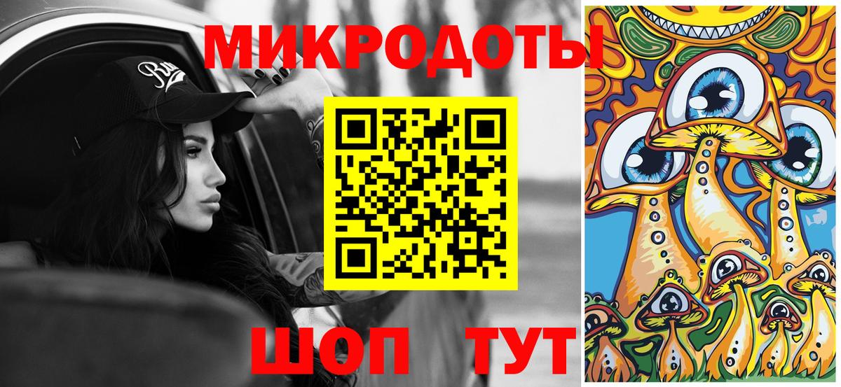 Псилоцибиновые грибы Psilocybe Курчалой