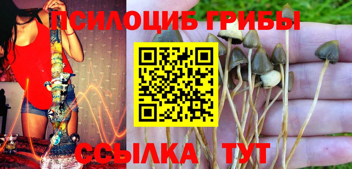 Галлюциногенные грибы MAGIC MUSHROOMS  Вход с VPN  Псилоцибиновые грибы ЛСД  Курчалой 